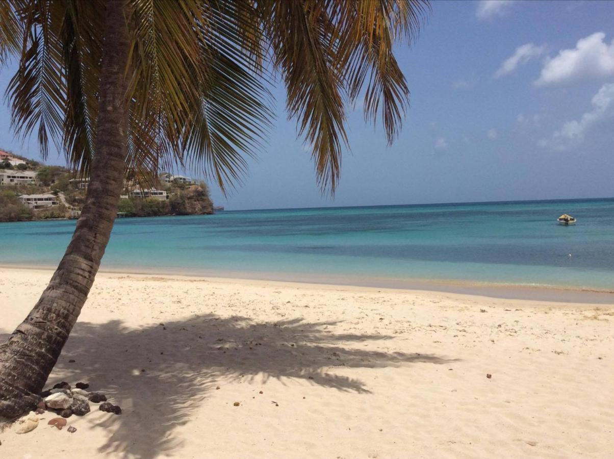 Kalinago Beach Resort St. George's Buitenkant foto